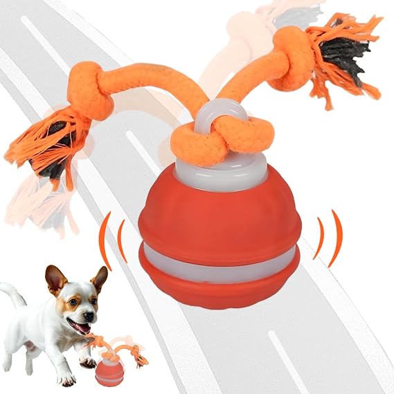 Dog Interactive Toy, Interactive Dog Toys with Two Chew Ropes for Pets