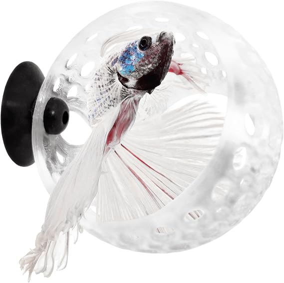 Betta Cave Lounge | Fish Tank Hideout & Hammock Ornament, Swim-Through for Betta, Small Fish, Shrimp – Aquarium Decoration with Plant Holder (Clear White, Small)