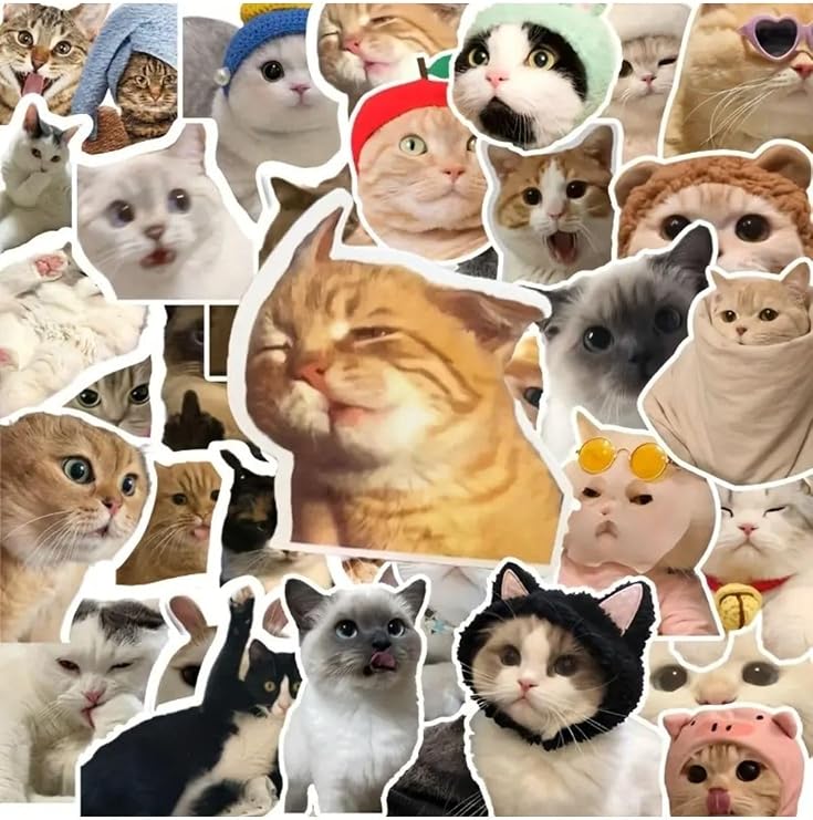 100'Li Çılgın Kedi Sticker Set Laptop Notebook Tablet Sticker Seti