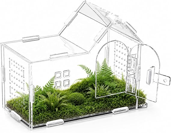 Jumping Spider Enclosure, Mantis Enclosure, Stick Insect Enclosure, Acrylic Feeding Box Snail, Praying Mantis, Frog, Acrylic Transparent Insect Habitat Terrarium Case