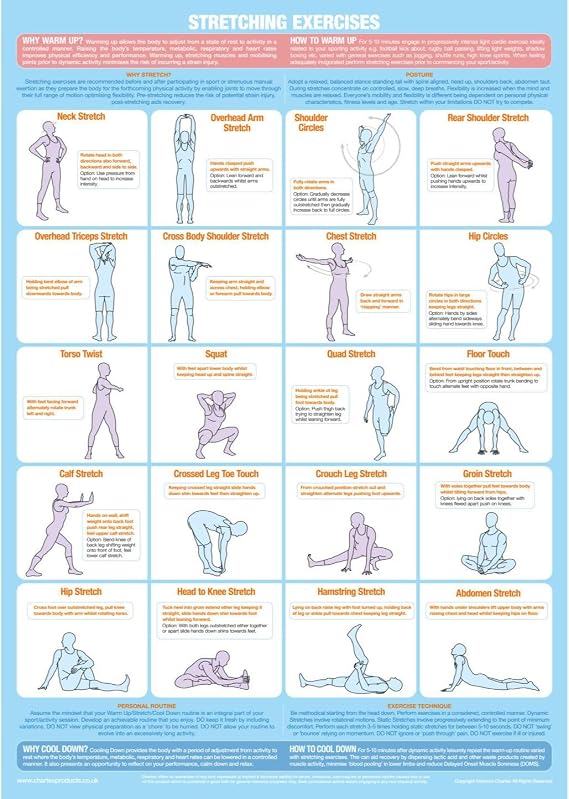 Stretching Exercise Poster | Whole Body Workout | Fitness Training