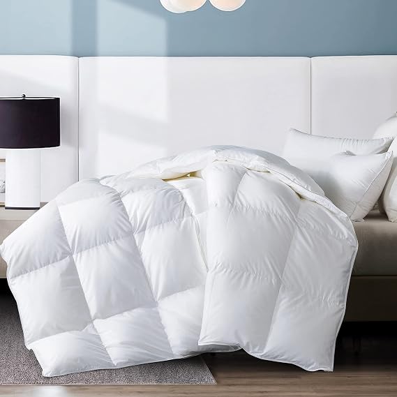 WhatsBedding 100% Cotton White Goose Down and Feather Duvet Cover Twin White/Light