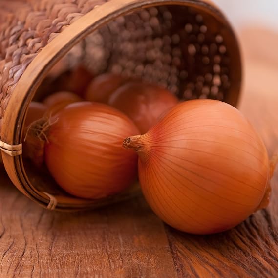 PREMIER SEEDS DIRECT - Onion - AILSA Craig - 6.0 GRAM ~ 1500 Finest Seeds