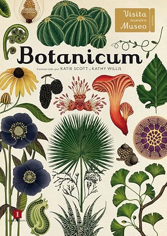 Botanicum: Visita nuestro museo: 16 (El chico amarillo)