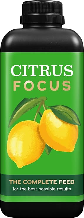Citrus Focus Fertiliser Concentrate for Oranges and Lemons, 1 Litre