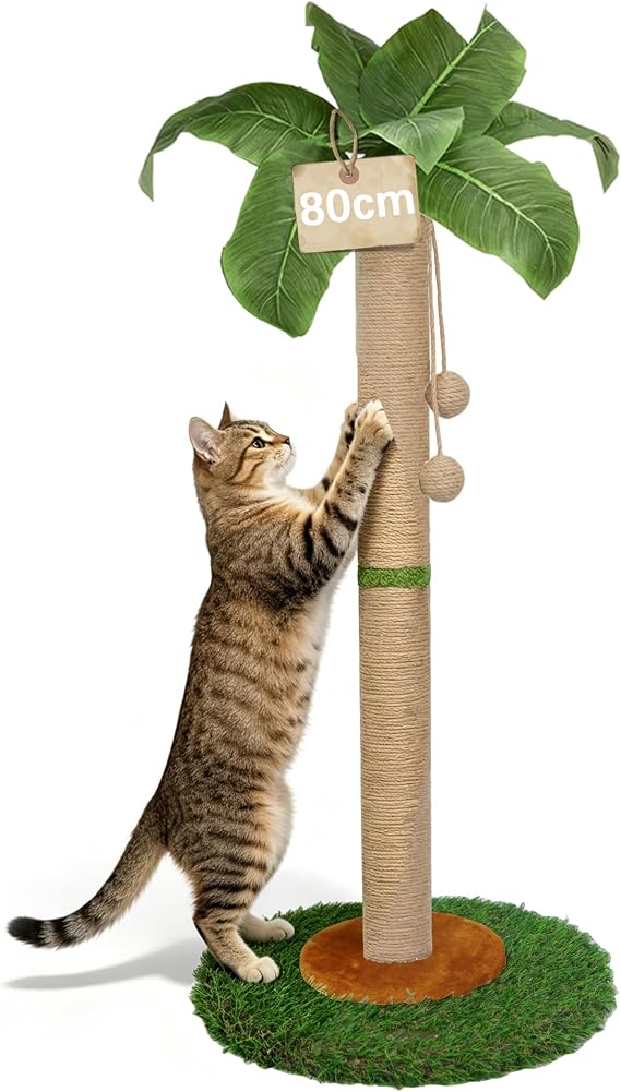 Cat Scratching Post for Indoor Cats and Kitten - 80CM Tall cat Scratching Post with Sisal Rope,Palm Tree Cat Scratch Post with Hanging Ball (80CM)