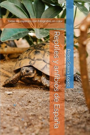 Reptiles y anfibios de España: Todas las especies con fotografías en color
