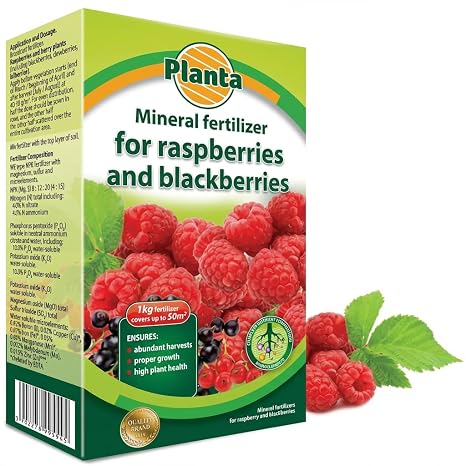 Raspberry and Currant Fertilizer, 1 kg