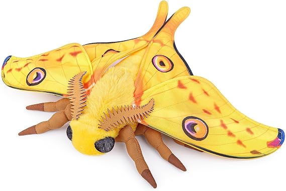 lilizzhoumax Yellow Luna Moth Plush Toy, 27 cm / 10.6 in, Cute Soft Stuffed Moth for Nature Display, Insect Collection and Gift