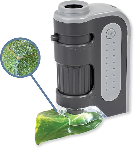 Carson MM-300 MicroBrite Plus 60 -120x LED Lighted Pocket Microscope, Grey