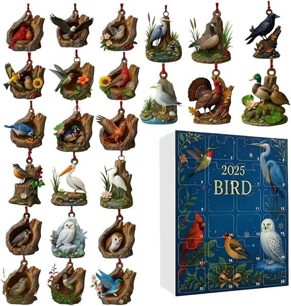 Countdown to Christmas Calendar Bird Ornament Home Decor 2D Flat
