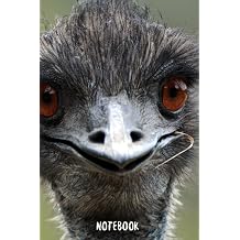 Emu Notebook: blank lined composition journal | Emu notebook | 100 pages Paperback – 7 July 2021