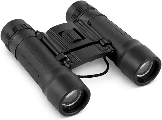 Profesyonel Mini El Dürbünü, Kauçuk Kaplamalı, 25 mm Gerçek Cam Mercekli, 96M/1000M Geniş Görüş Açılı, Su Geçirmez, Boyun Askılı Kuş Gözlem Avcılık Doğa Güvenlik Yarış Tiyatro İçin 10x25 El Dürbünü