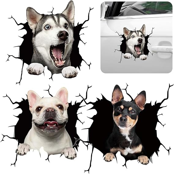 Pack of 3 Funny Car Stickers for Car