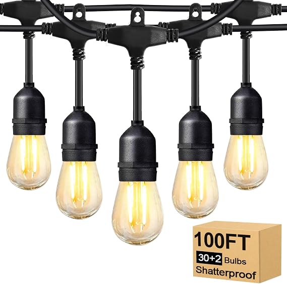 BRIMAX 100FT Festoon Lights Mains Powered,Outdoor String Lights Linkable [Energy Class E]
