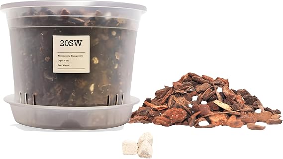 Kit for Transplanting Orchids · Pot 16 cm · Plate · Substrate 1L · Fertilizer