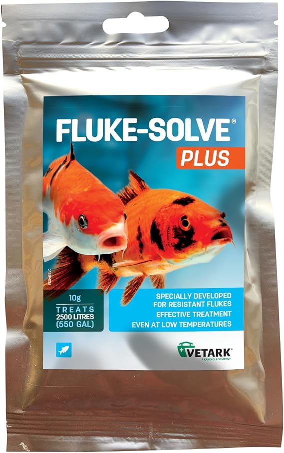 Fluke Solve Plus 10g