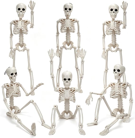 6PCS 40cm Posable Skeleton Decorations, Hanging Skeletons with Movable Joints, Indoor Outdoor Garden Ornaments for Haunted House, Graveyard Scene and Halloween Horror Party Decor