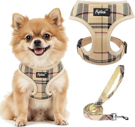 PUPTECK Soft Mesh Dog Harness Small Size and Leash Set for Pet Puppy Cat Comfortable Padded Vest Harness No Pull Beige S