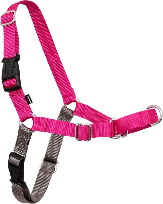 PetSafe Easy Walk No-Pull Köpek Göğüs Tasması, Çekmeyi Önlemeye Yardımcı, Kontrolü Ele Alın ve Tasmayla Daha İyi Yürümeyi Öğretin, Evcil Hayvanların Yürürken Çekmesini Önlemeye Yardımcı
