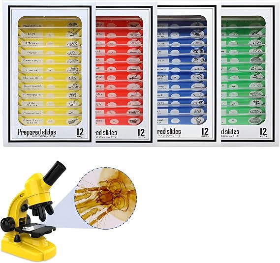 48pcs Microscope Slides with Specimens for Kids