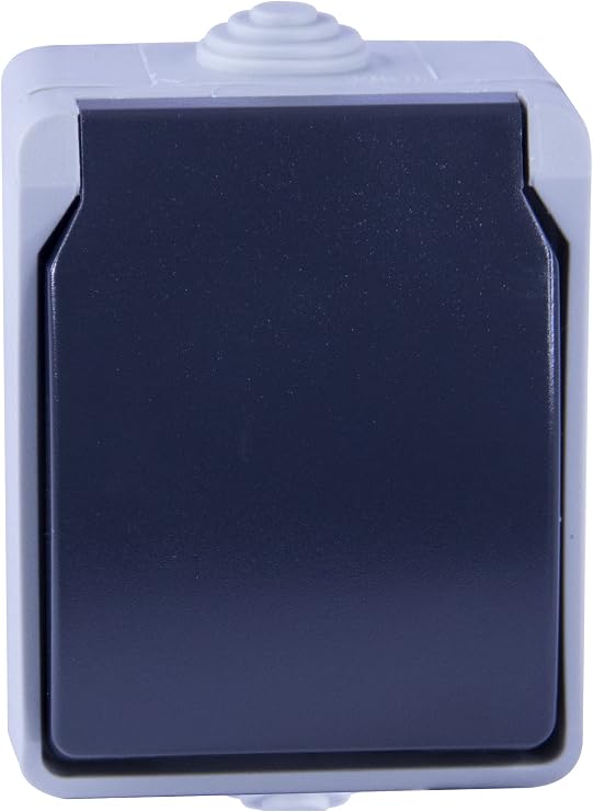 Dio Socket 2P+T on Aquatop Surface IP54 Grey and White