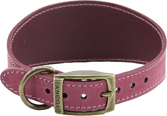 Ancol Timberwolf Whippet Leather Dog Collar in Raspberry - Top Grain Bridle Leather Comfortable Durable Pet Training Accessory - 30-34cm