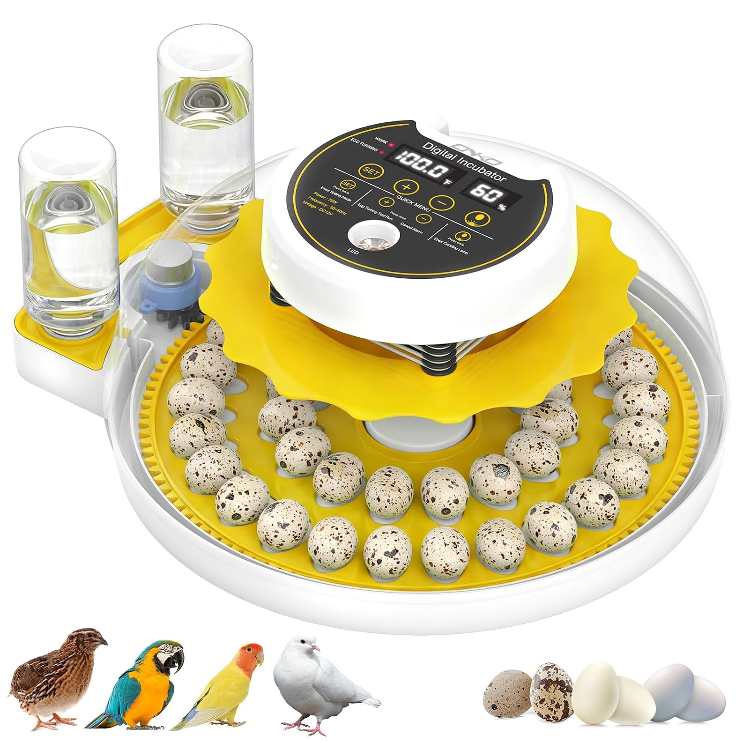 Quail Egg Incubator for Hatching 40 Quail Eggs with Automatic Turner and Humidity Control, Small Quail Brooder, Outdoor Poultry Egg Incubator, Suitable for Quail Parrot Canary and Other Bird