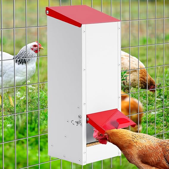 3KG Chicken Feeder Rat Proof, Metal Poultry Feeder Hanging
