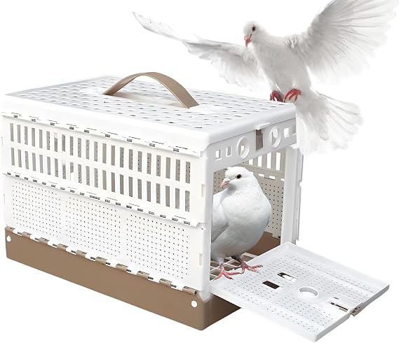 Parakeet Cage Escape-Proof Space Saving Double-Lock Foldable