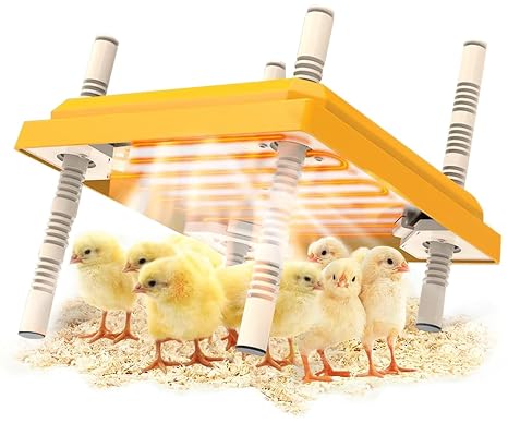 Chick Brooder Heating Plate,Adjustable Height and Angle Chick Brooder