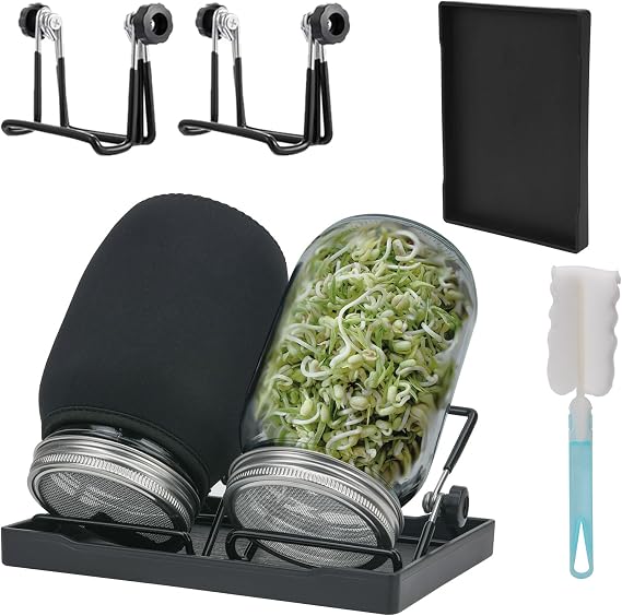 Sprouting Glass Set of 2 Germination Glass with Stainless Steel Filter