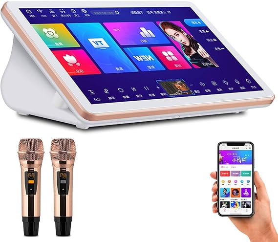 New Karaoke System,Touch Screen, With Mixer and Echo Function,Wifi+app, Smart Karaoke Player,Watch Movies, Karaoke, Live Broadcast 15.6in-4T