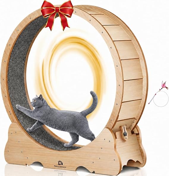 Cat Wheel XXL Diameter 135 cm Large Running Wheel Cat Super Quiet Cat Balance Bike with Removable Carpet and Cat Fishing Rod for Running, Walking, Training, Suitable for Most Cats