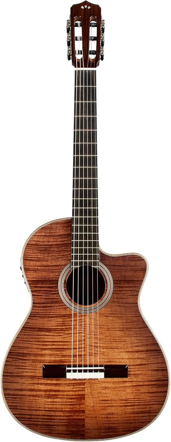 Cordoba Elegat Guitar Classic Guitar Cinnamon Burst Fusion 12 Cinnamon Burst