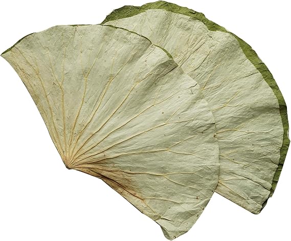 Rainlily Wen Dried Lotus Leaves Sushi Plate Decoration Whole Sheet 30 Pcs Food Wrapping Party Decoration Cooking Radius For 11'' Food Wrapping Party making Lo Mai Gai