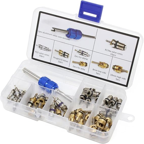 HSEAMALL Conditioning A/C Valve Core R12 R134a Automotive Air Conditioning Refrigeration Tire Valve Stem Cores Remover tool Assortment Kit (40PCS)
