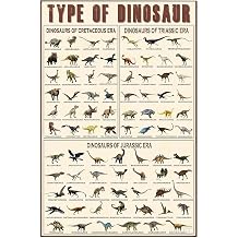 QGH Educational Dinosaur Poster – Types of Dinosaur Canvas Wall Art Print – Dinosaur Wall Art for Boys Bedroom – Dinosaur Room Decor for Home, Classroom & Study – 8 x 12 Inch