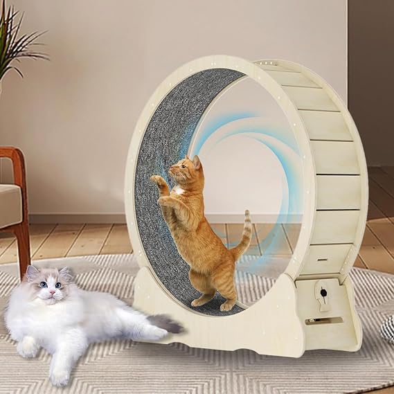 Cat Exercise Wheel, 41"/46", Large Running Wheel With Secure Brake & Carpeted Runway, Quiet Operations Treadmill, Indoor Exerciser for Pets Weight Loss & Health Black Natural-L