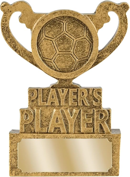 SilverTrophy: Player's Player Trophy, Football Player of the Match Award, School Club Competition, Soccer Tournament, Sports Party, Winner, Personalise Engraving Plate, Gold Mini Cup Gift