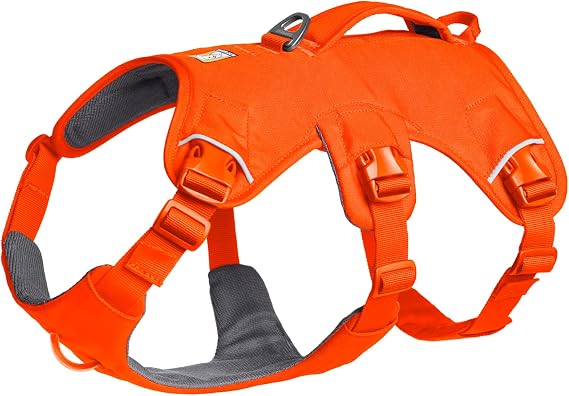 Ruffwear Web Master Dog Harness, Y-Front Dog Harness with Handle & Improved Buckle, Adjustable & Lightweight for Walks & Hikes, Anti Escape, No Pull, Breathable & Comfy, Blaze Orange, Medium