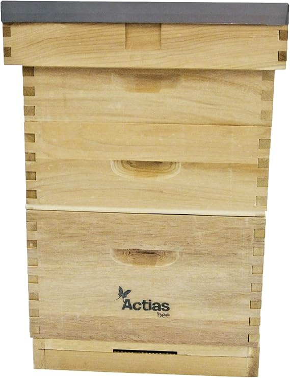 Langstroth Beehive In New Zealand Pine | 2 Supers + 1 Brood, Flat Roof Bee Hive for Beekeeping