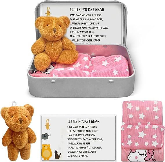 Little Pocket Bear Hug in A Box, Stuffed Animals, Plush Bear Doll