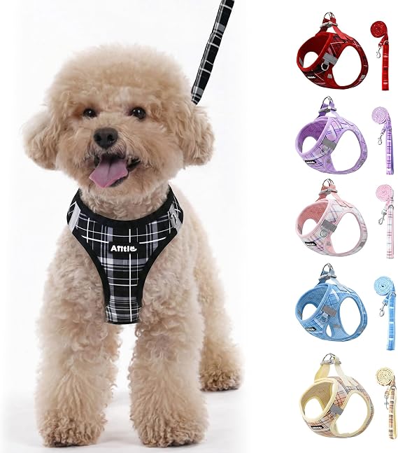 AIITLE No Pull Step in Dog Vest Harness and Leash Set, Black S
