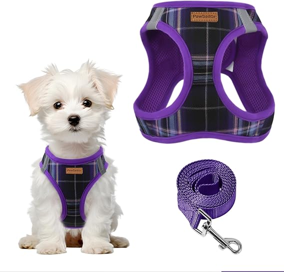 Small Dog Harness Lead Step-in No Pull Mesh Puppy Harness Purple