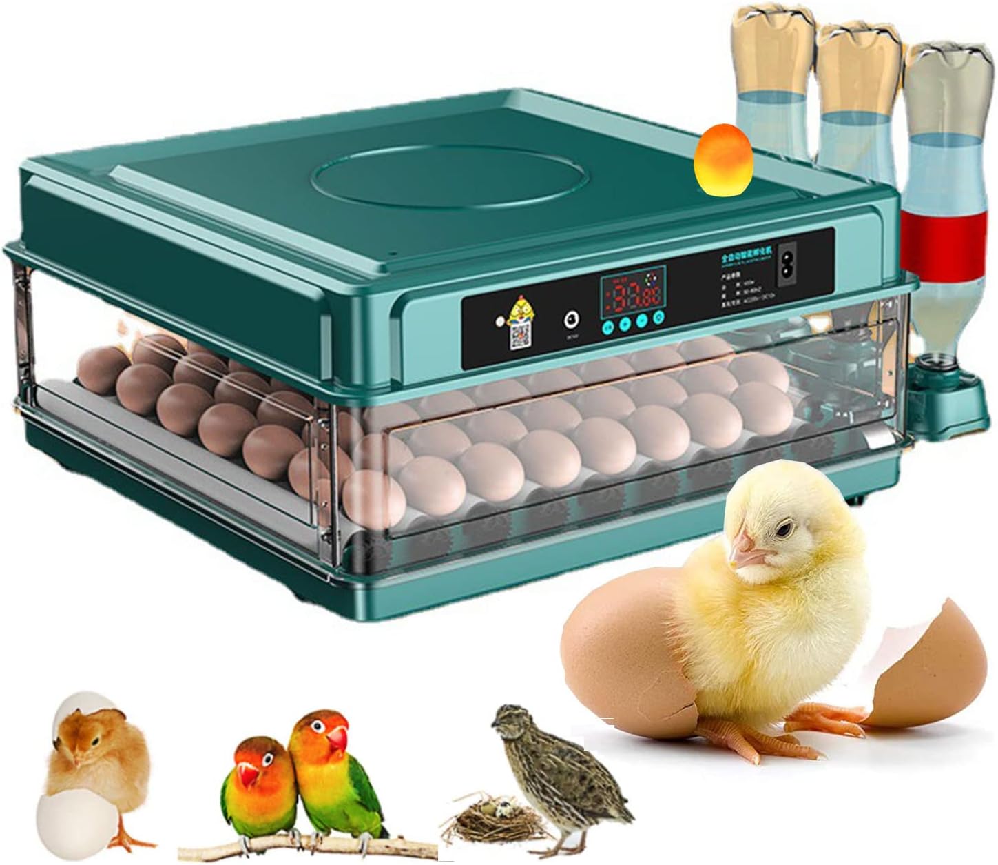 Automatic Incubator, Automatic Hatching Egg, Hatching Machine, Automatic Rolling Egg Hatcher, Small Automatic Hatching Egg, Large Capacity, Dedicated for Birds, Automatic Temperature Control,