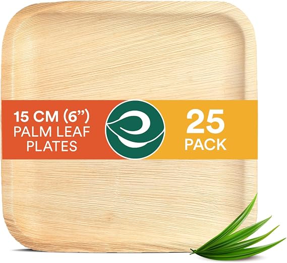 ECO SOUL 6 Inch Disposable Bamboo Plates (25 Pack, Square)