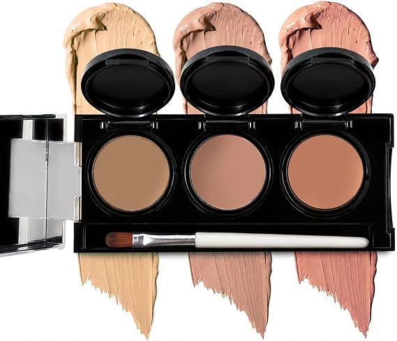 Dermaflage Concealer Palette, Waterproof Color Corrector, 3 Shades - Light