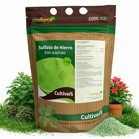 CULTIVERS Iron Sulfate Heptahydrate Granulated 1kg | Mineral Product for Gardening and Home, Technical Use in Soils and Lawns and Coloring for Concrete Effect Oxidized