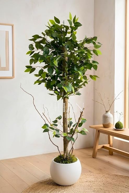 120 cm Yapay Benjamin Ağacı Küre Saksılı Premium Salon Bitkisi